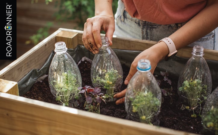 a worker plants small vegetables to support sustainability